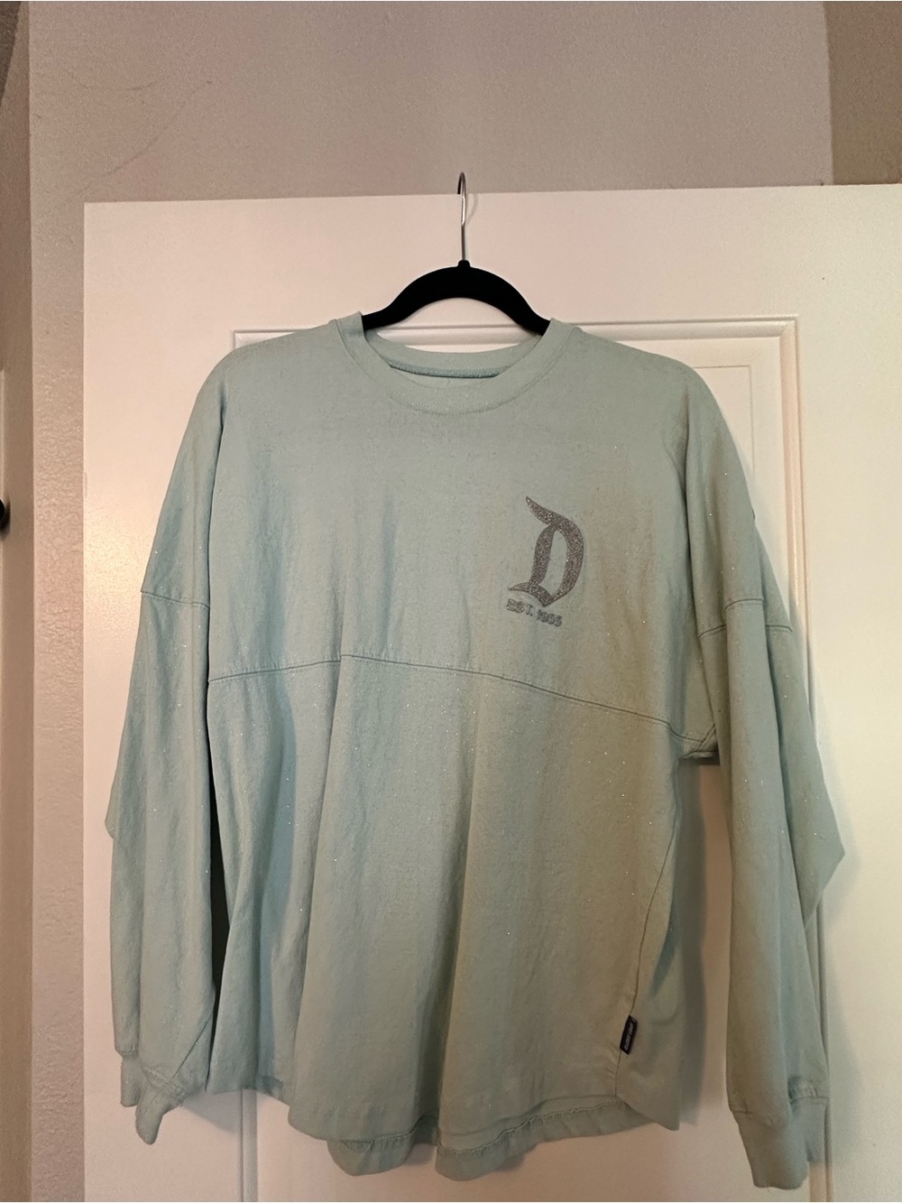 Disneyland Frozen Spirit Jersey